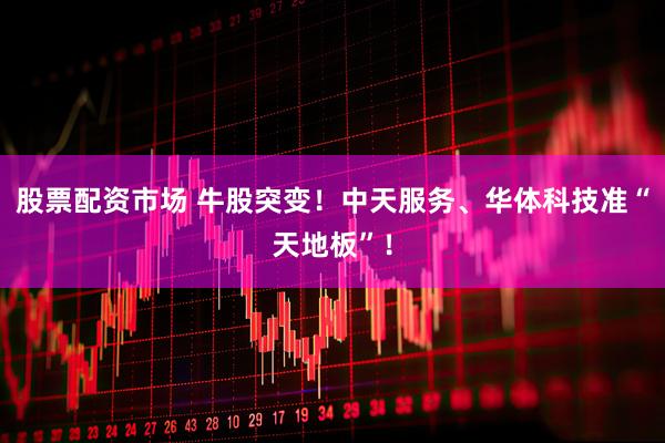 股票配资市场 牛股突变！中天服务、华体科技准“天地板”！