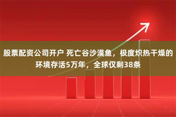 股票配资公司开户 死亡谷沙漠鱼，极度炽热干燥的环境存活5万年，全球仅剩38条