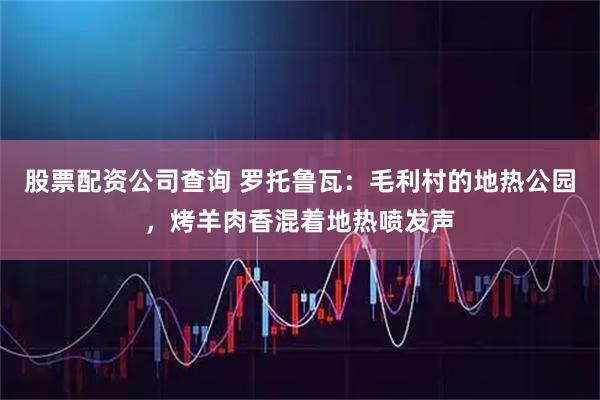 股票配资公司查询 罗托鲁瓦：毛利村的地热公园，烤羊肉香混着地热喷发声